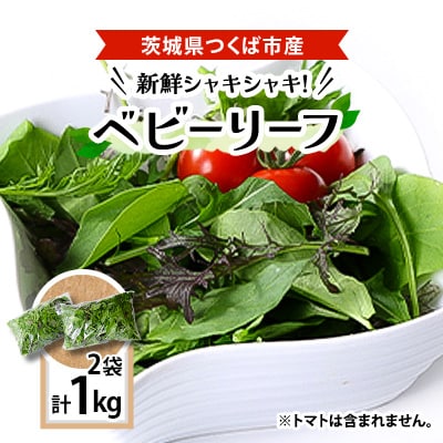 新鮮シャキシャキ!ベビーリーフ(1000g)【離島・沖縄配送不可】