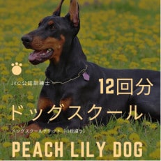 Peach Lily Dogのドッグスクール　チケット　(12枚綴り)