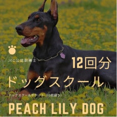 Peach Lily Dogのドッグスクール チケット (12枚綴り)