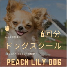 Peach Lily Dogのドッグスクール チケット (6枚綴り)