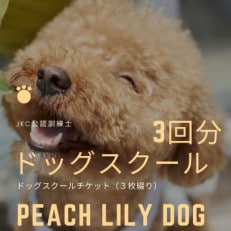 Peach Lily Dogのドッグスクールチケット (3枚綴り)