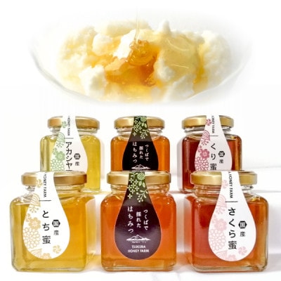 国産蜂蜜物語 (国産はちみつ100g × 6個) ギフトセット