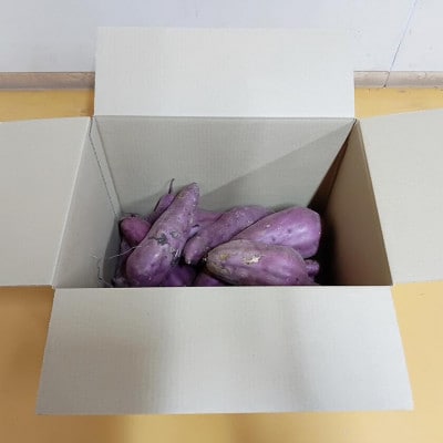 茨城県産 熟成さつまいも(紅はるか) SSサイズ～3Lサイズ訳アリ 7kg