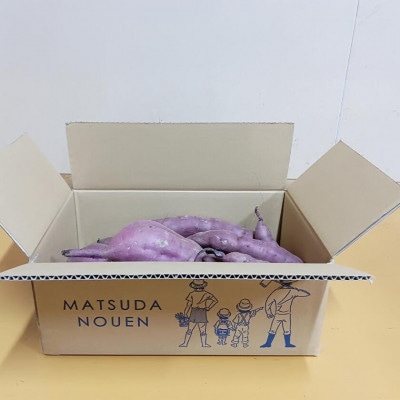 茨城県産 熟成さつまいも(紅はるか) SSサイズ～3Lサイズ訳アリ4.5kg(箱入り)