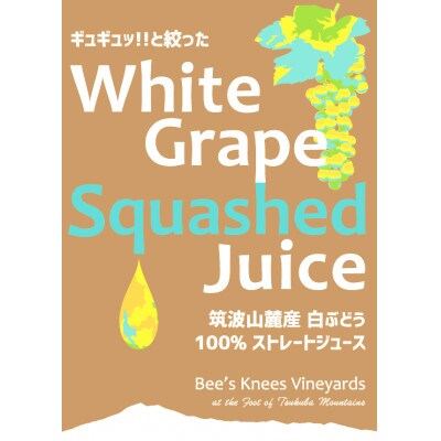 つくば市 筑波山麓産ぶどうジュース2本セット(白&黒 各1本) ビーズニーズヴィンヤーズ