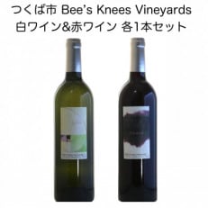 つくば市 筑波山麓産ワイン2本セット(白&赤 各1本) ビーズニーズヴィンヤーズ