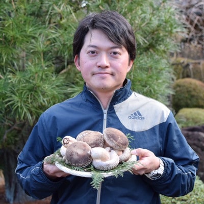 肉厚!原木しいたけちゃん　900g【離島・沖縄配送不可】