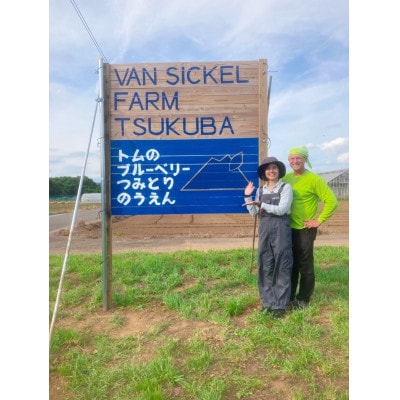 【茨城県産、栽培期間中ミネラル栽培&農薬不使用】トムの冷凍ブルーベリー 1kg【離島・沖縄配送不可】