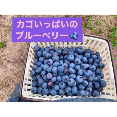 トムのブルーベリージャム 2本セット×2箱