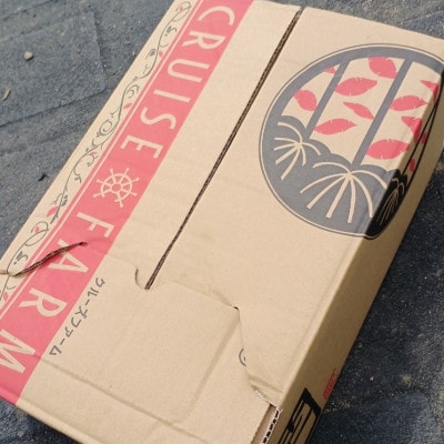 さつまいも(シルクスイート)5kg