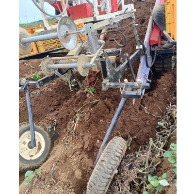 さつまいも(シルクスイート)5kg