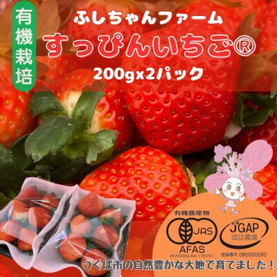 すっぴん有機いちごセット「恋みのり」400g(200g×2)