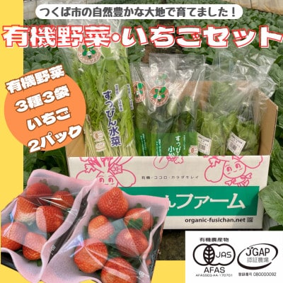 すっぴん有機やさい・いちごセットB