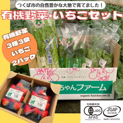 すっぴん有機やさい・いちごセットB