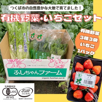 すっぴん有機やさい・いちごセットA