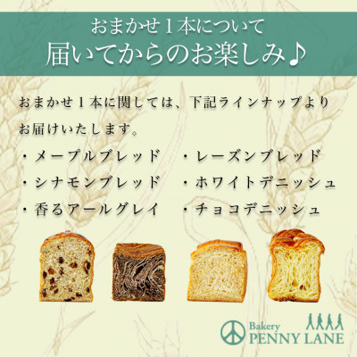 ペニーレインのブルーベリーブレッド2本+おまかせ1本セット【離島・沖縄配送不可】