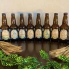 Twin Peaks Mountain Brewingのクラフトビールおまかせ12本セット