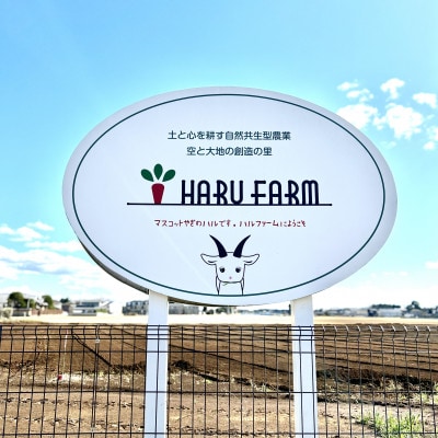 アプリがサポート!ハルファームの市民農園利用券(5平方メートル 6ヶ月分)茨城県 つくば市