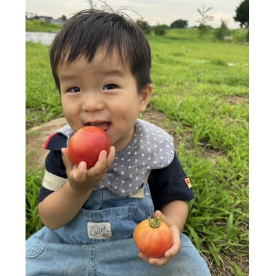 アプリがサポート!ハルファームの市民農園利用券(5平方メートル 3ヶ月分)茨城県 つくば市