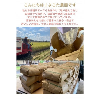 【令和7年産】茨城県産コシヒカリ　玄米10kg
