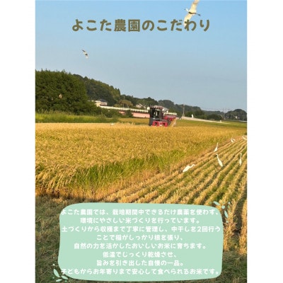 【令和7年産】茨城県産にじのきらめき　玄米10kg