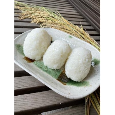 【令和7年産】茨城県産にじのきらめき　玄米10kg