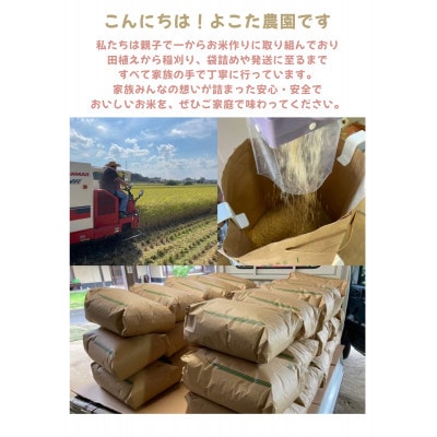 【令和7年産】茨城県産にじのきらめき　精米10kg