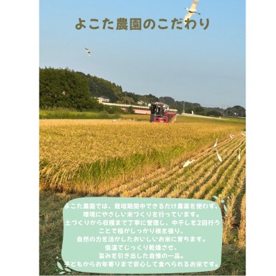 【令和7年産】茨城県産にじのきらめき　精米10kg