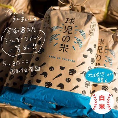 令和8年産 新米 球児の米 (一等米 ミルキークイーン)白米 5kg