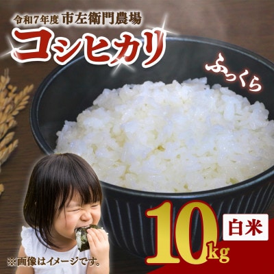 つくば市産コシヒカリ白米計10kg　精米