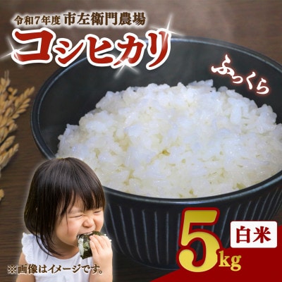 【つくば市産コシヒカリ】 白米 5kg 精米