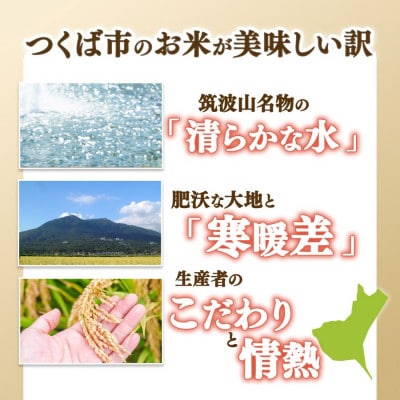 【つくば市産コシヒカリ】 白米 5kg 精米