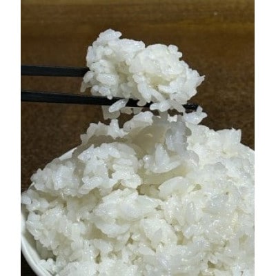 にじのきらめき白米 10kg×1袋