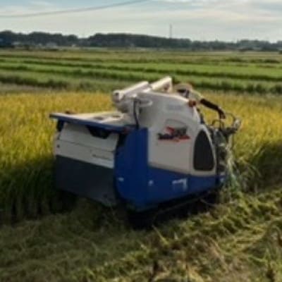 にじのきらめき白米 10kg×1袋