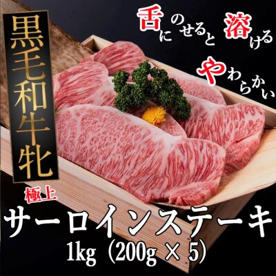 黒毛和牛牝 サーロインステーキ 1kg(200g × 5)