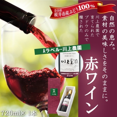 【Aラベル-川上農園】赤ワイン 720ml 1本