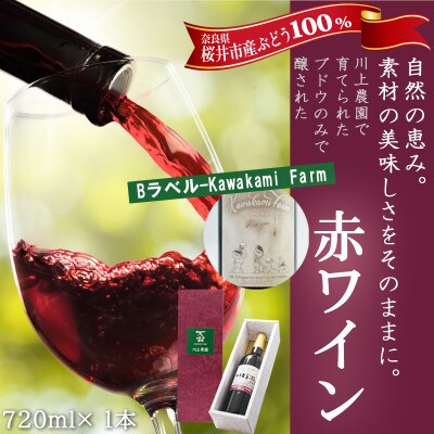 【Bラベル-Kawakami Farm】赤ワイン 720ml 1本