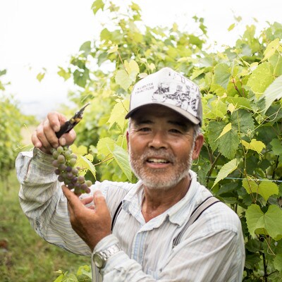【Bラベル-Kawakami Farm】赤ワイン 720ml 1本