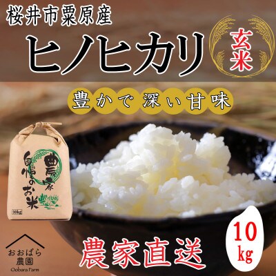 【玄米】令和6年度産 桜井市粟原産ヒノヒカリ 10kg×1袋