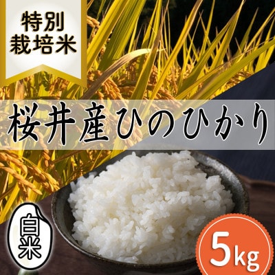 【特別栽培米】桜井市高家産 ヒノヒカリ 白米 5kg