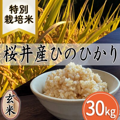 【特別栽培米】桜井市高家産 ヒノヒカリ 玄米 30kg×1袋