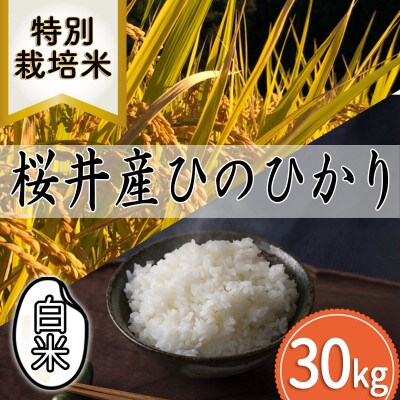 【特別栽培米】桜井市高家産 ヒノヒカリ 白米 30kg×1袋