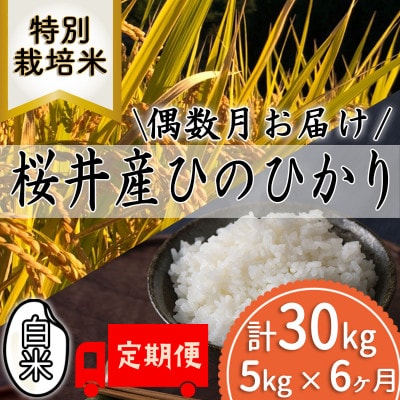 【発送月固定定期便】＜特別栽培米＞桜井市高家産 ヒノヒカリ 白米 5kg 全6回(偶数月)