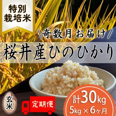【発送月固定定期便】＜特別栽培米＞桜井市高家産 ヒノヒカリ 玄米 5kg 全6回(奇数月)