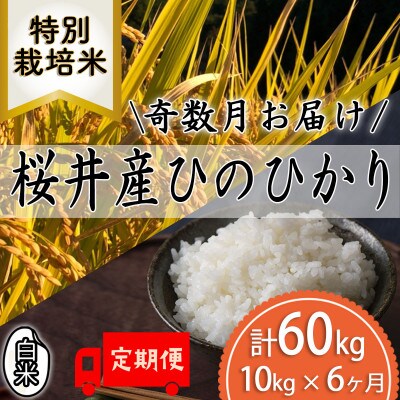【発送月固定定期便】＜特別栽培米＞桜井市高家産 ヒノヒカリ 白米 10kg 全6回(奇数月)