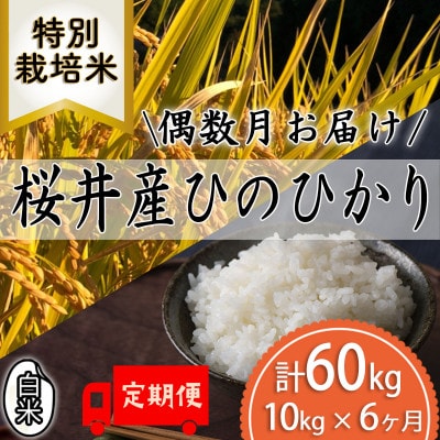 【発送月固定定期便】＜特別栽培米＞桜井市高家産 ヒノヒカリ 白米 10kg 全6回(偶数月)