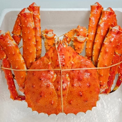 たらばがに姿　4.1kg