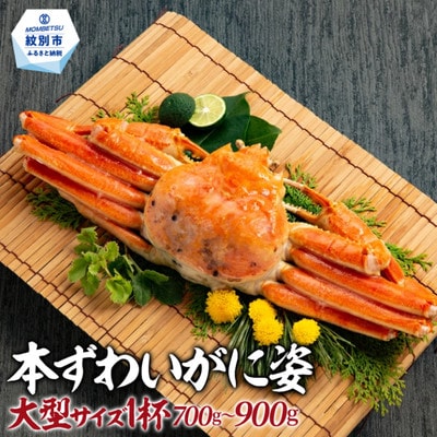 本ずわいがに姿 大型サイズ1杯