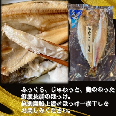 【紋別産】船上活〆ほっけの開き一夜干し【2枚入】【数量限定】