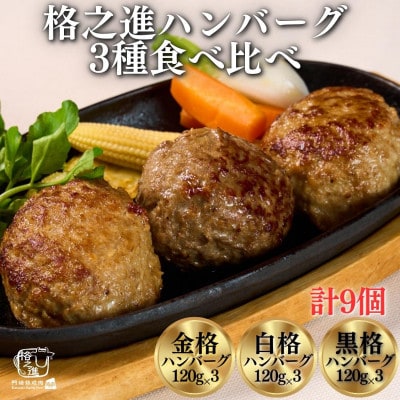 3種の格之進ハンバーグ 120g(各3個)計9個プレミアム 高級 国産 牛肉 白金豚